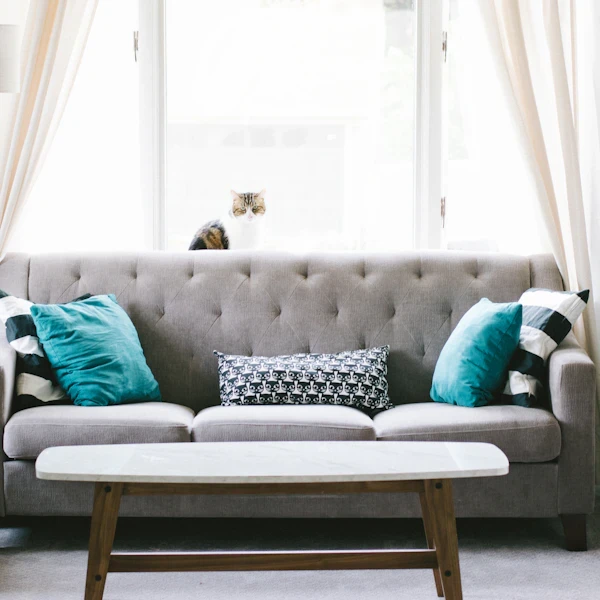 Decor & Lighting