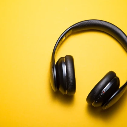 Wireless Bluetooth Headphones