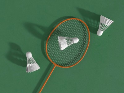 Badminton Racket Pro